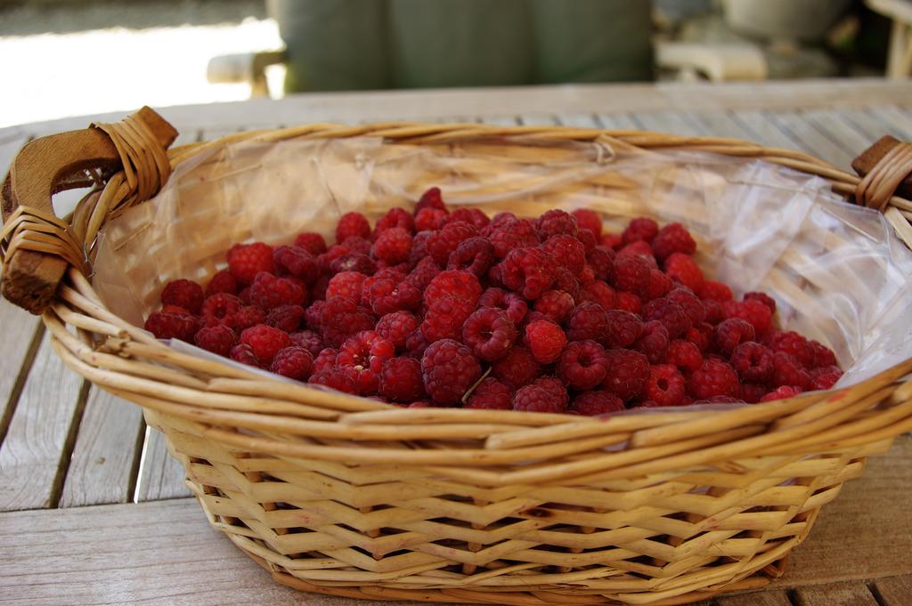 Le Mas De La Fontaine Bed & Breakfast Le Pegue ภายนอก รูปภาพ